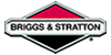 Briggs & Stratton Sump Pumps