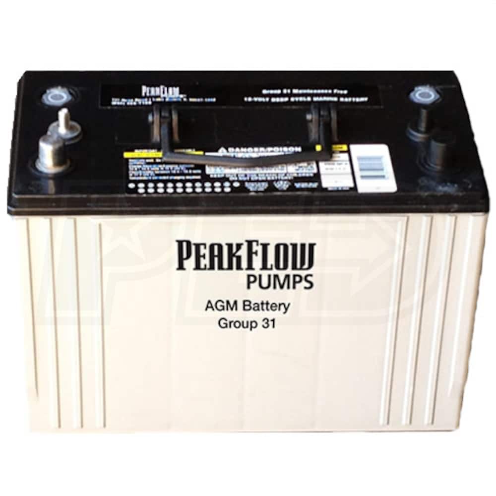 PeakFlow Pumps PFAGM31