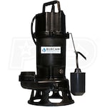 Burcam Pumps 1 HP Cast Iron Residential Grinder Pump (2