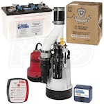 Basement Watchdog 1/3 HP Combination Primary and Backup Sump Pumps w/ Battery and Acid