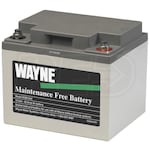 Wayne WSB1240 - Maintenance Free AGM Backup Sump Pump Battery (40 Amp)