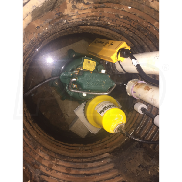 Zoeller N53 1/3 HP Cast Iron Submersible Sump Pump w/ LevelGuard