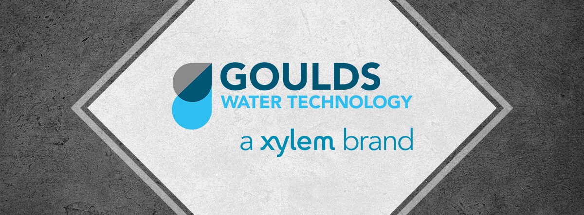 Should You Buy a Goulds Pump?