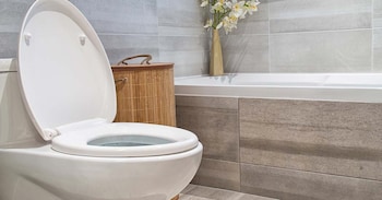 The Best Sewage Pumps of 2025