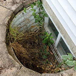 Basement Window Well Exterior