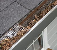 Gutters Clogged With Leaves and Dirt