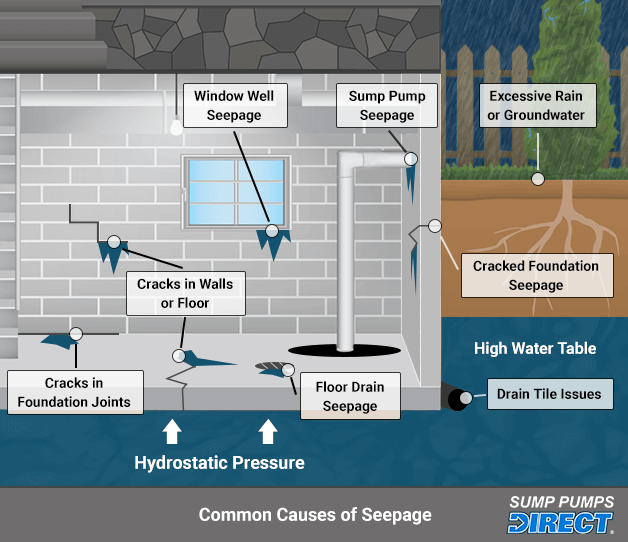 infographic showing common sources of basement leaks