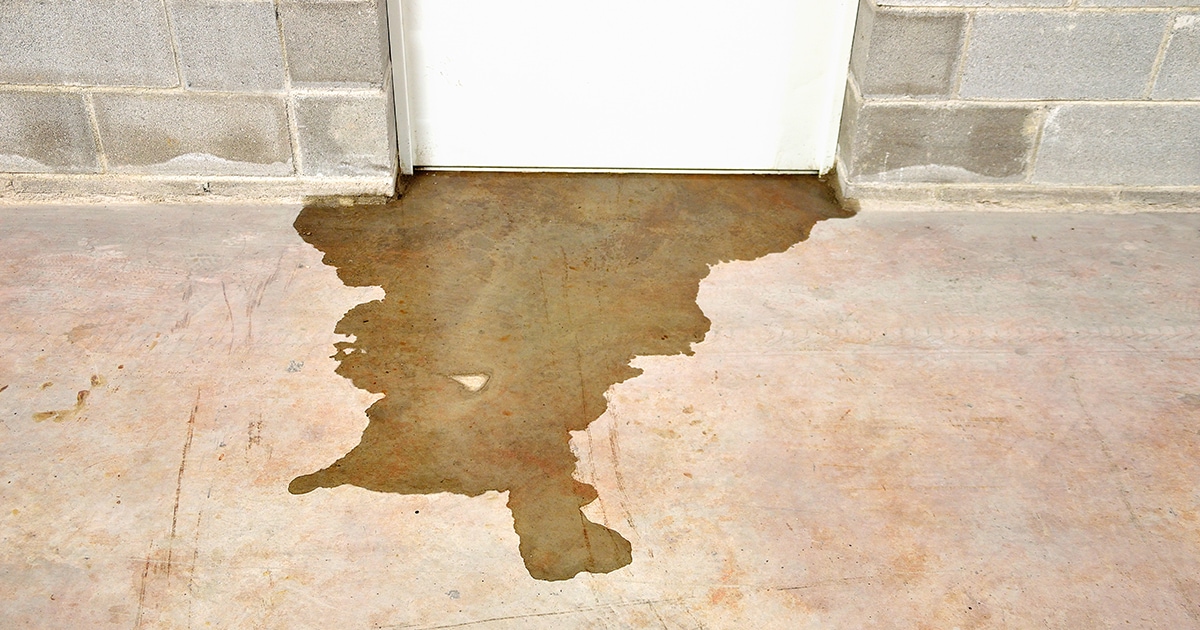 Sump Pump Battery Buyer's Guide