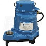 Goulds GSP Series - 1/3 HP Cast Iron Sump/ Effluent Pump (Non-Automatic)