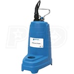 Goulds PE-Series - 4/10 HP Cast Iron Effluent Pump (Non-Automatic)