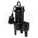 Wayne RPP50 - 1/2 HP Cast Iron Sewage Pump (2