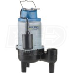Blue Angel Pumps - 4/10 HP Cast Iron Commercial-Grade Sewage Pump (2