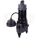 iON X-ONEi - 1/2 HP Cast Iron Sewage Pump (2") w/ ION Digital Level Control M5000A4107